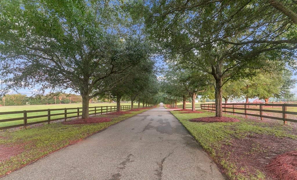 7426 Eddins Road Dothan, AL 36301 - Photo 68 of 88