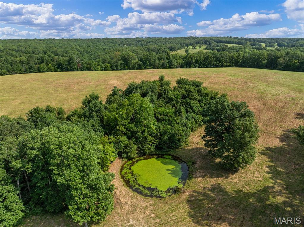 0 Long Spring Road Steelville, MO 65565 - Photo 38 of 42 Gallery Image 38