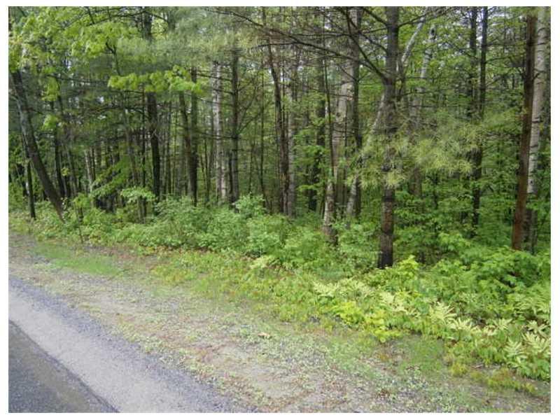Lot 6 Riva Ridge Drive Vassalboro, ME 04989 - Photo 6 of 7 Land/Lot.