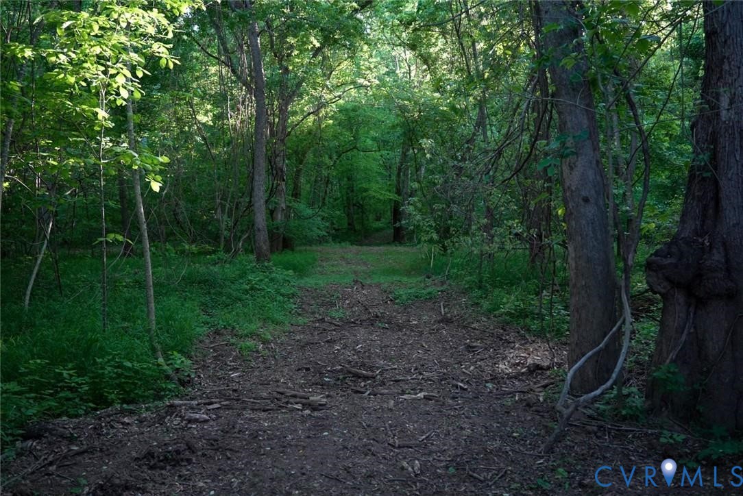 176 Ampthill Road Cartersville, VA 23027 - Photo 20 of 25 a view of a yard with a trees