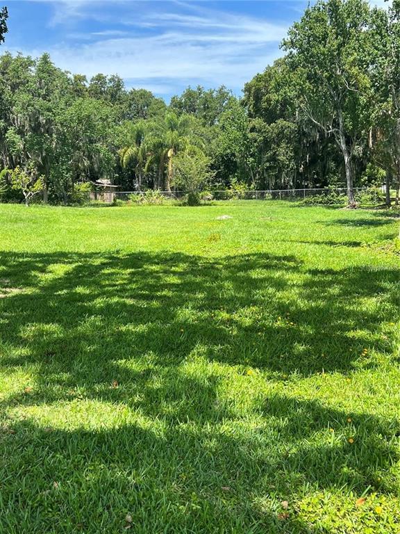 a view of a grassy field with trees in the background