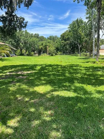 a view of a park with large trees