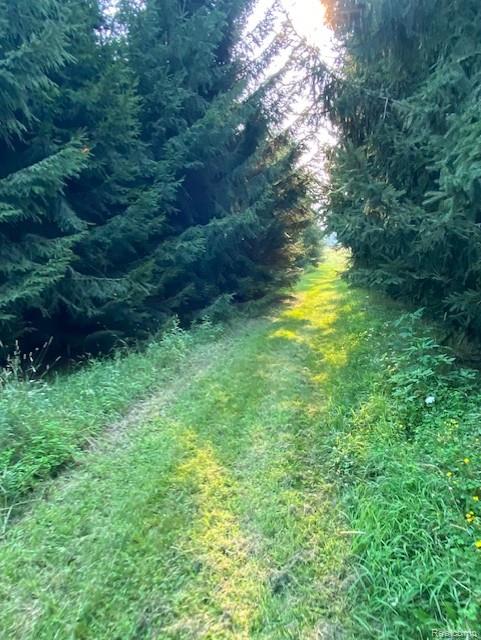 7762 Mason Road Yale, MI 48097 - Photo 19 of 40