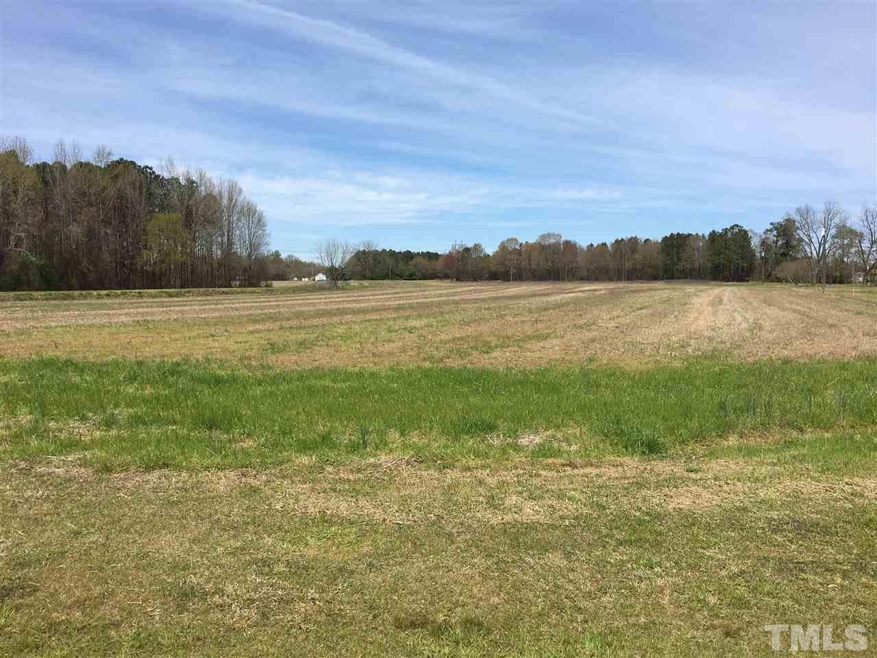 Lot 3 Bill Avery Road Coats, NC 27521 - Photo 4 of 7 Gallery Image 4