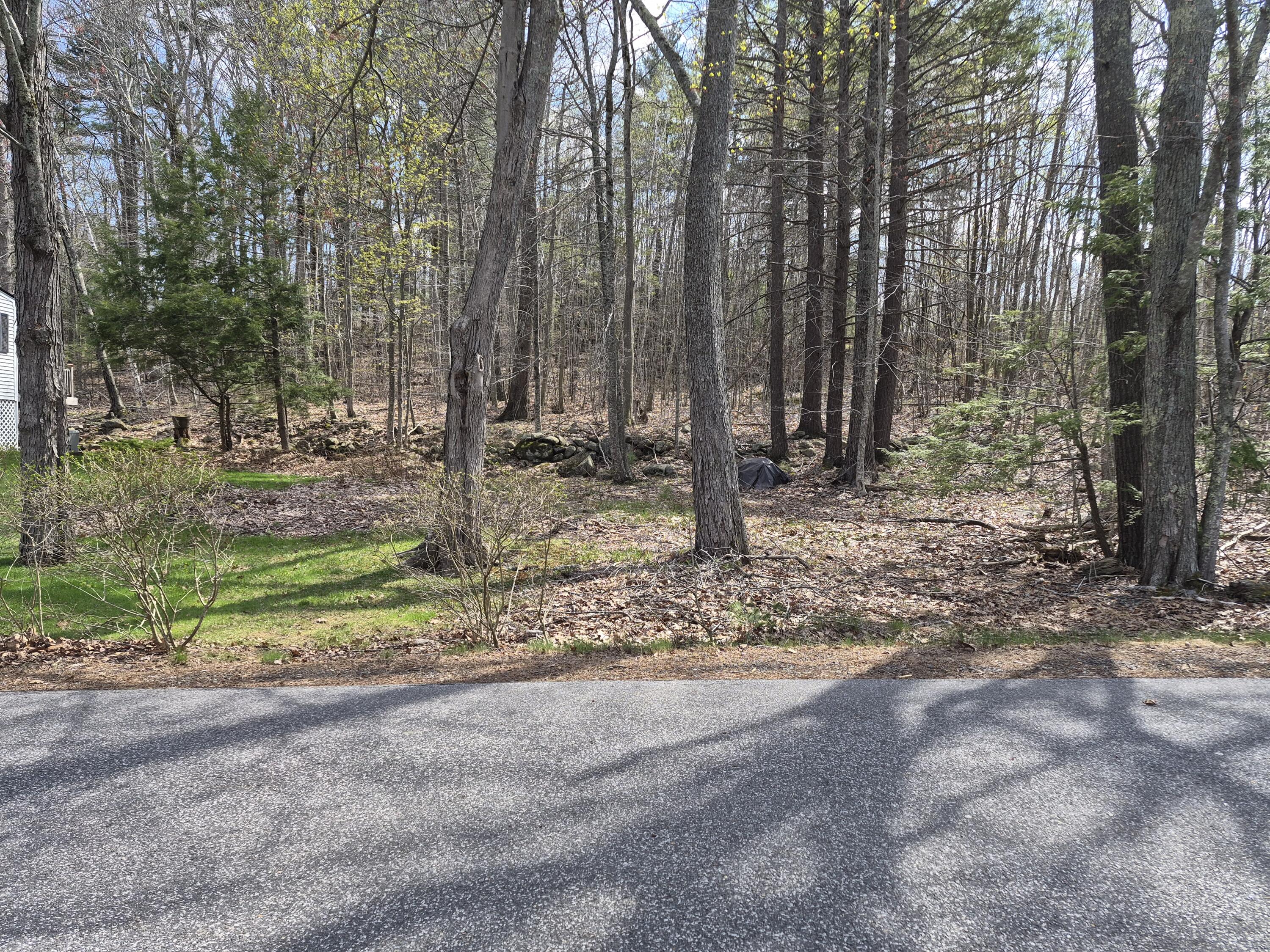 31 Clay Hill Road York, ME 03902 - Photo 6 of 34 Side yard