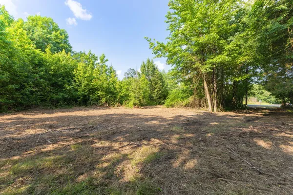 a view of dirt yard with a trees
