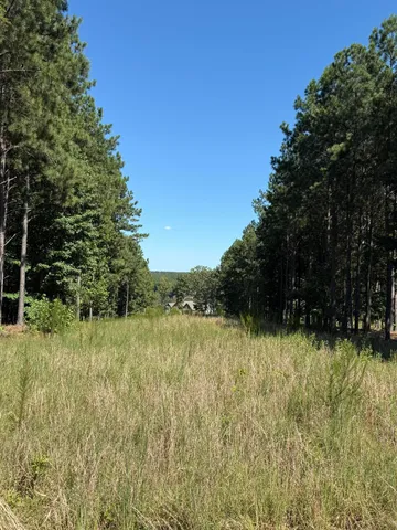 a backyard of a house with trees