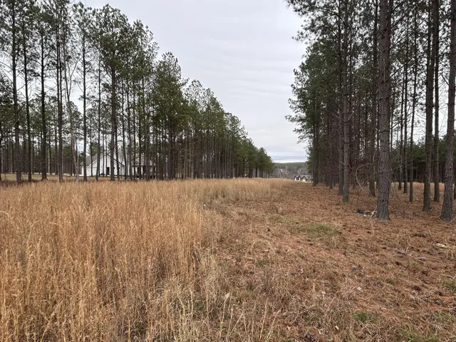 a view of outdoor space with trees