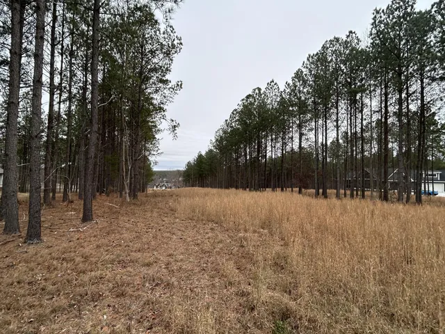 a view of dirt yard covered with trees