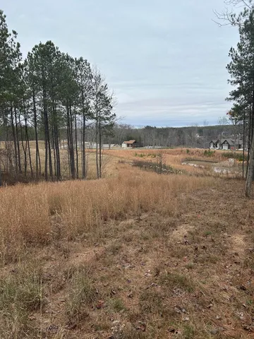 a view of a street with a garden