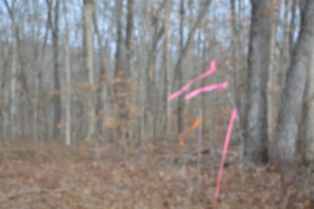 $349,900 | 0 Garrett Town Lane, Monroe, TN 38573