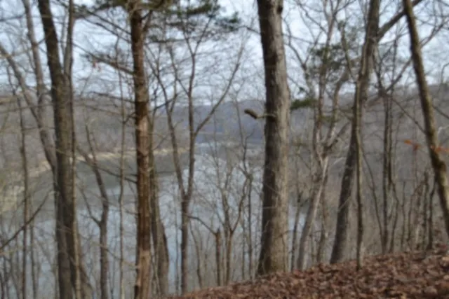 a view of a backyard of the house