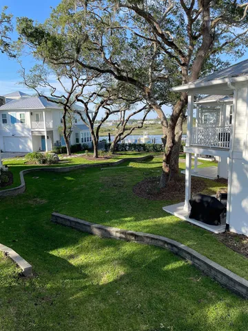 a view of a park with large trees