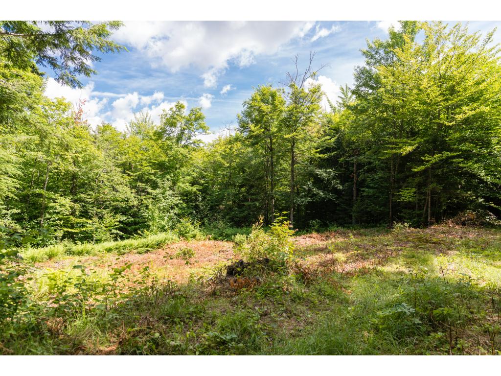 0 Taylor Road, Unit 5 Waterbury, VT 05676 - Photo 1 of 4