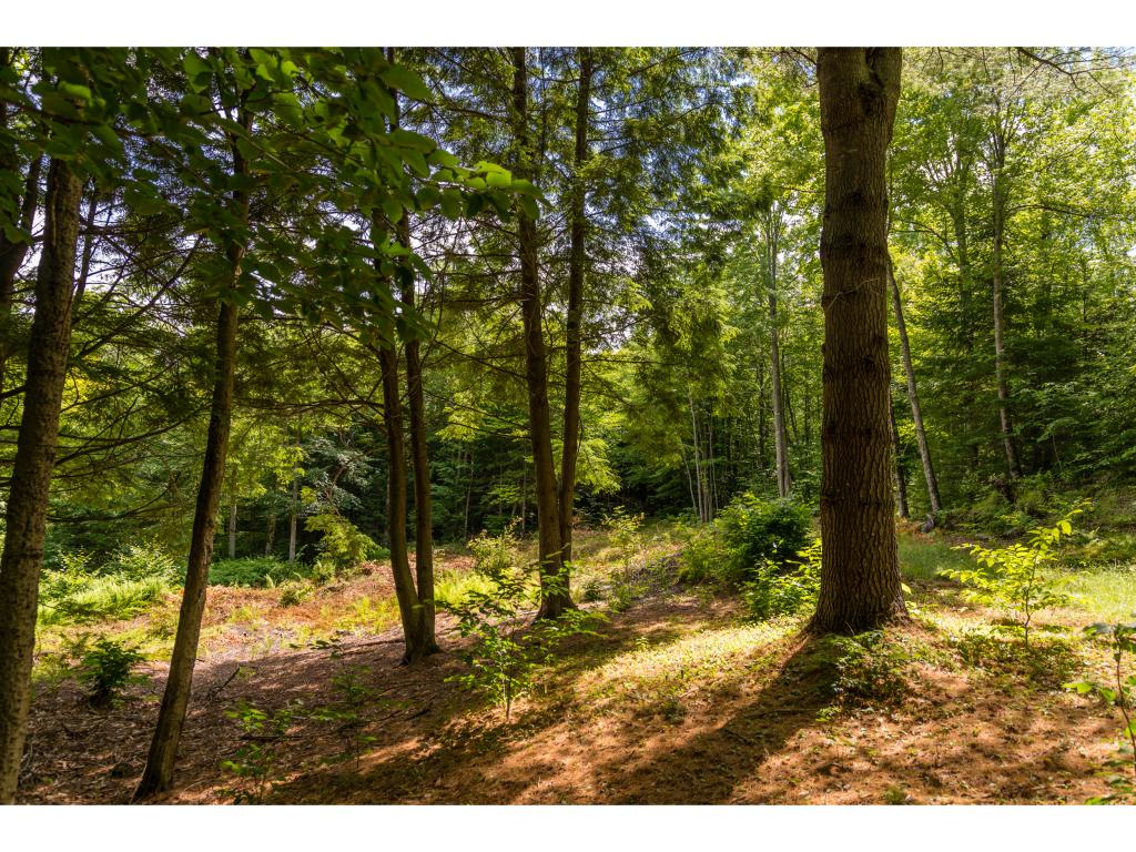 0 Taylor Road, Unit 5 Waterbury, VT 05676 - Photo 3 of 4