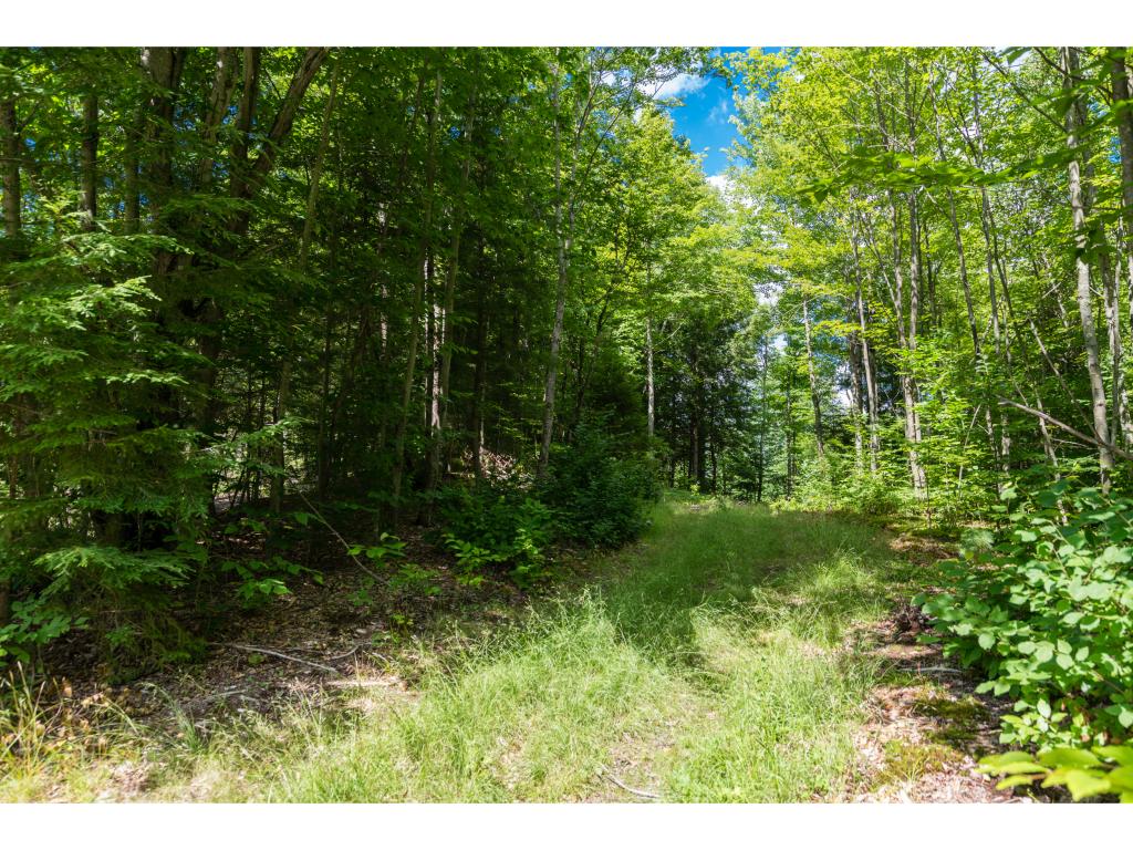 0 Taylor Road, Unit 5 Waterbury, VT 05676 - Photo 4 of 4