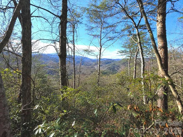 $23,000 | 81 Lucerne Drive, Canton, NC 28716