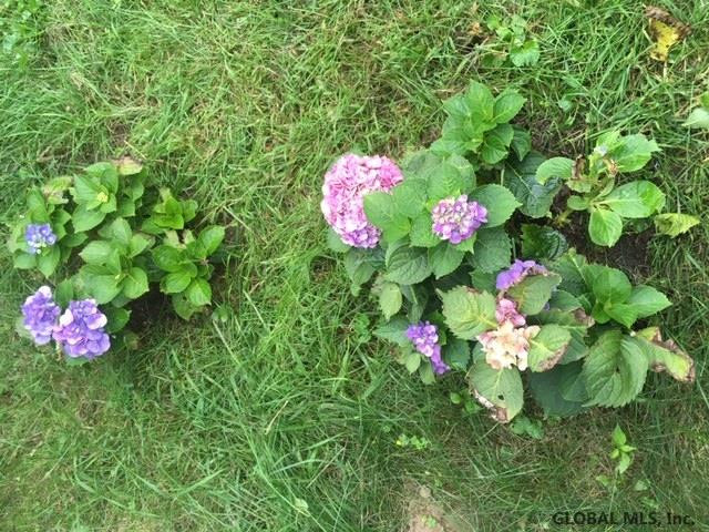 156 Menands Road Colonie, NY 12211 - Photo 34 of 37 Photo 34