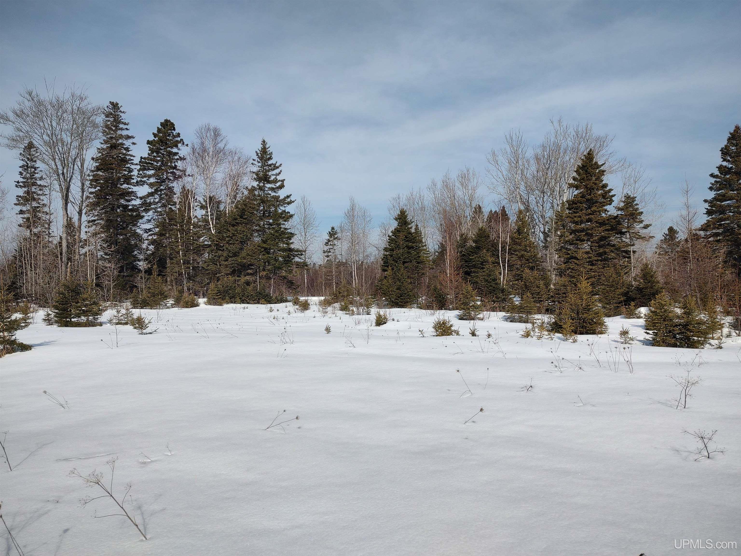 30-acres Parkington Road Gulliver, MI 49840 - Photo 23 of 31