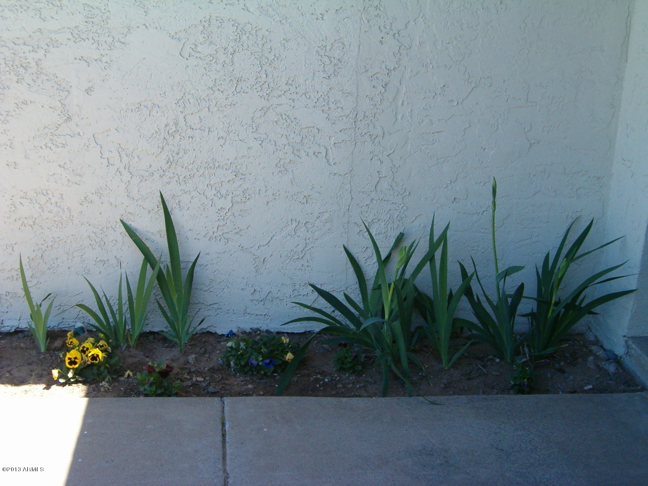 4833 West Phelps Road Glendale, AZ 85306 - Photo 7 of 13 HPIM3028