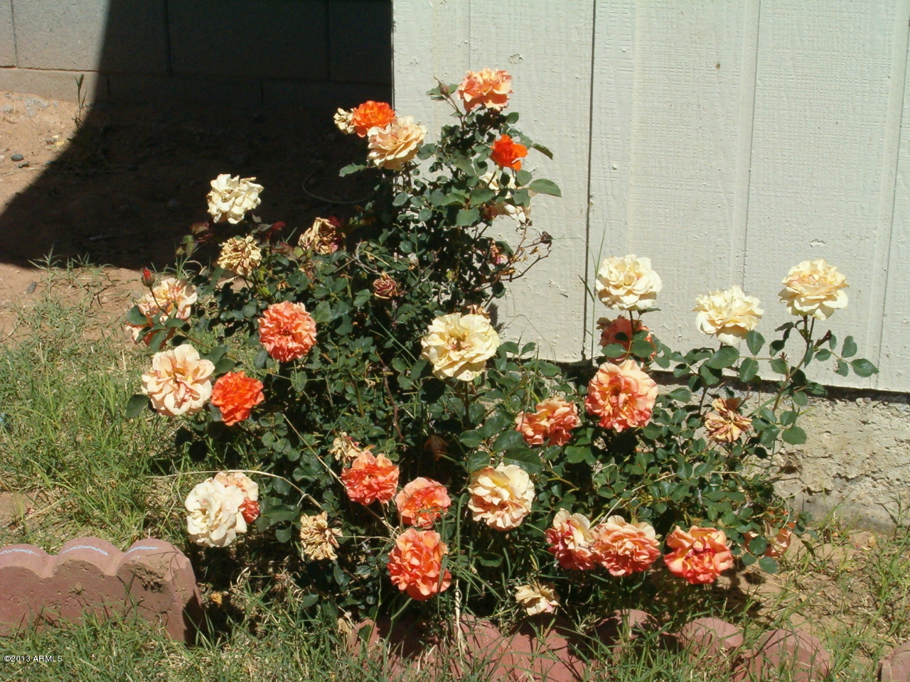 4833 West Phelps Road Glendale, AZ 85306 - Photo 10 of 13 HPIM3009