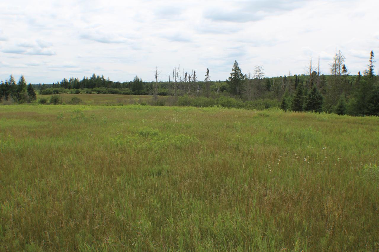 On Mertig Road, Unit 150 ACRES Glidden, WI 54527 - Photo 41 of 48 Gallery Image 41