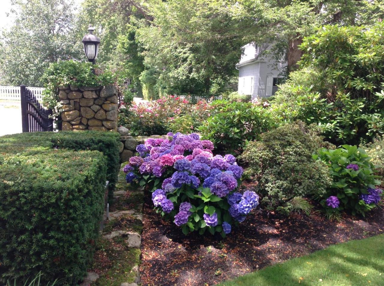 968 Main Street Cotuit, MA 02635 - Photo 27 of 35 Additional Photo