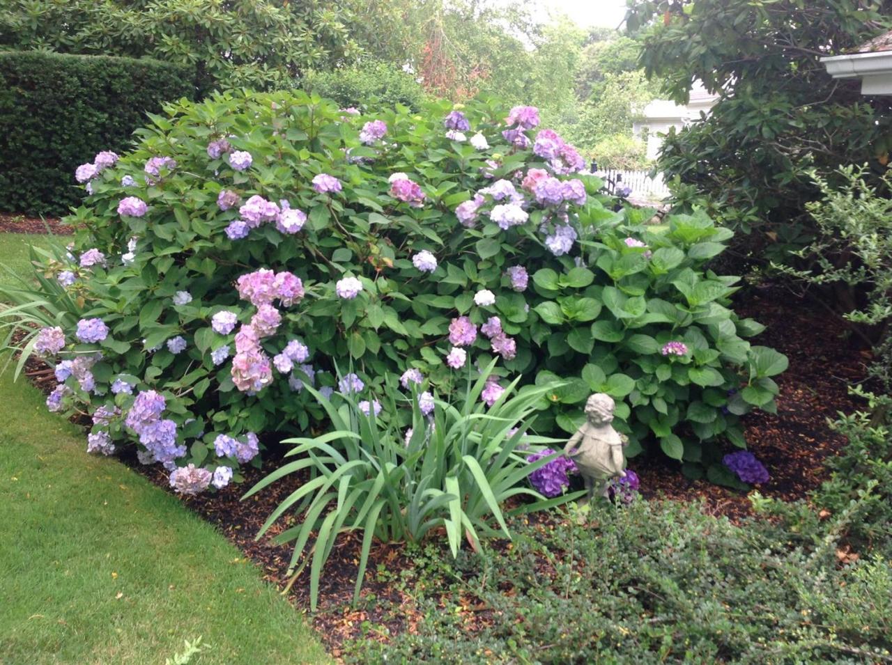 968 Main Street Cotuit, MA 02635 - Photo 28 of 35 Additional Photo