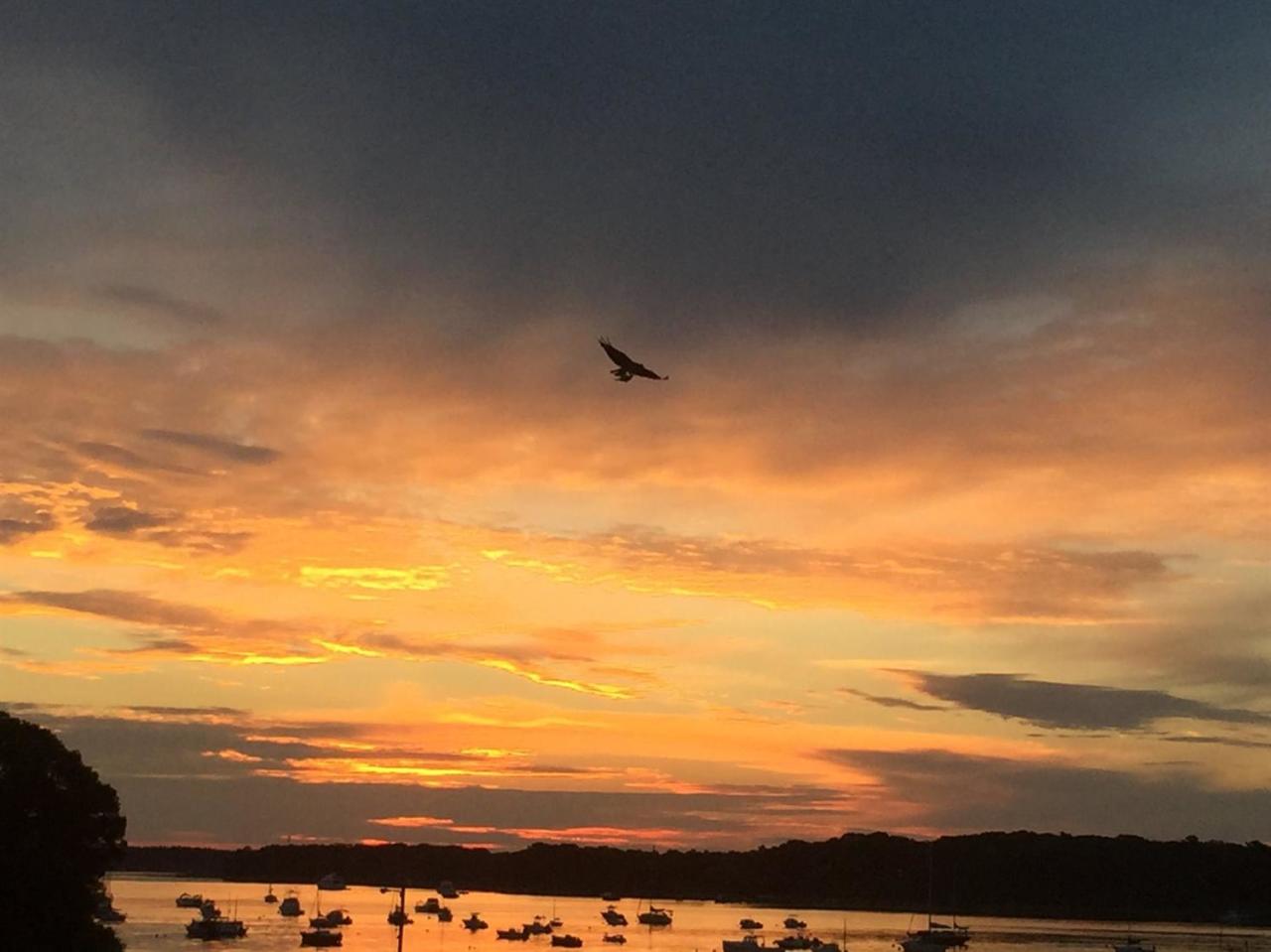 968 Main Street Cotuit, MA 02635 - Photo 34 of 35 Additional Photo