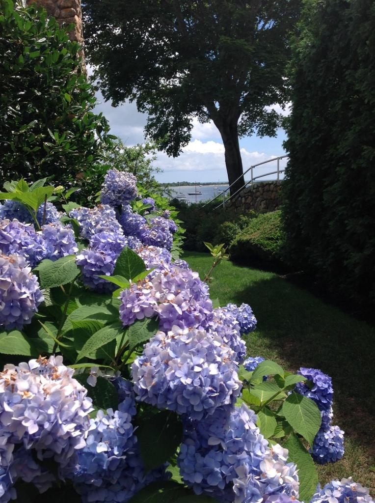 968 Main Street Cotuit, MA 02635 - Photo 7 of 35 Additional Photo