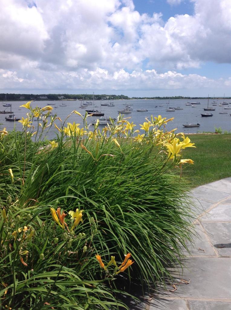 968 Main Street Cotuit, MA 02635 - Photo 8 of 35 Additional Photo