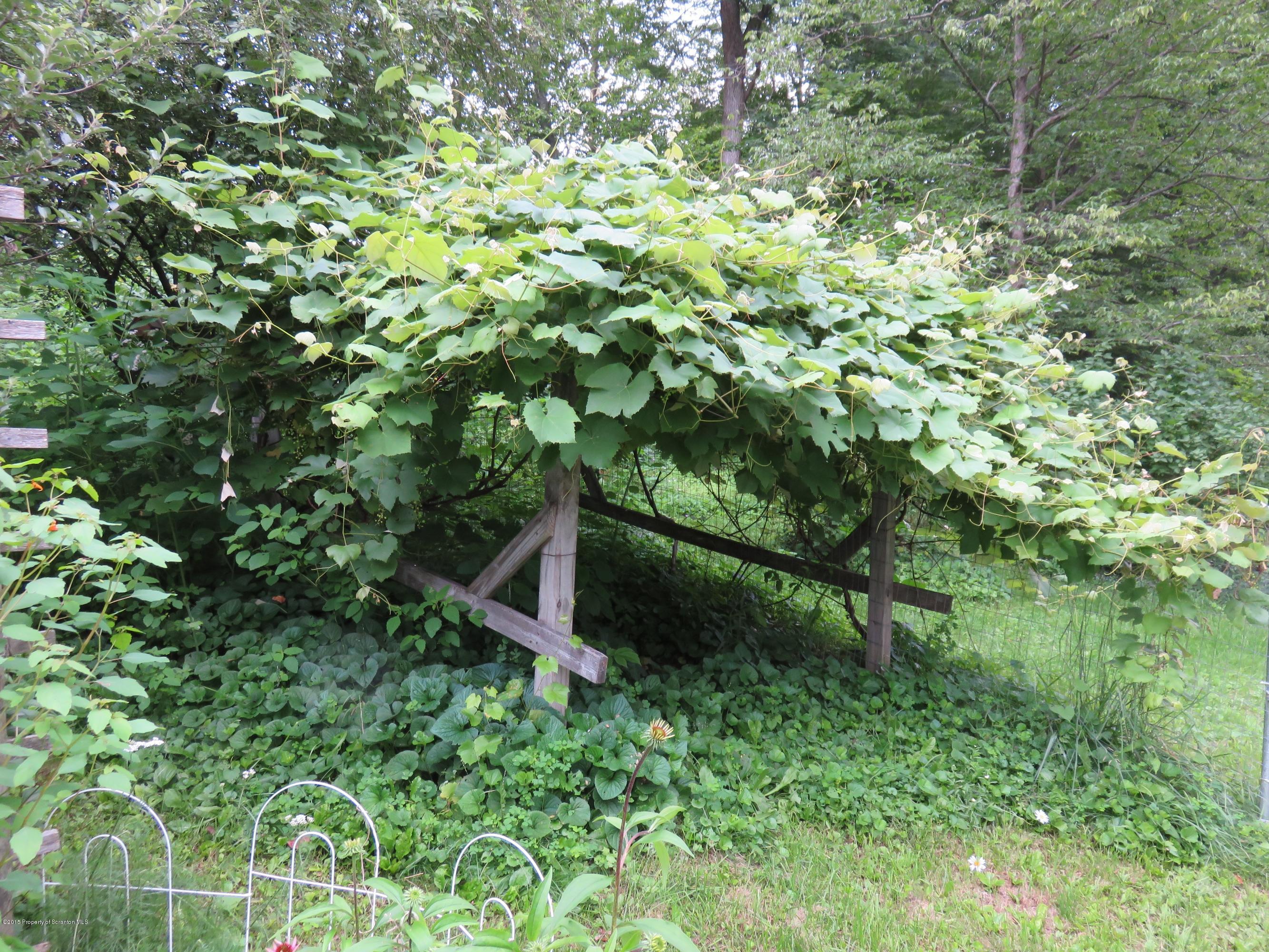 47 Pump House Road Lake Ariel, PA 18436 - Photo 17 of 22 a backyard of a house with lots of green space and garden