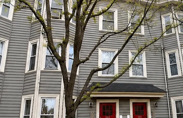 a front view of a house with a tree