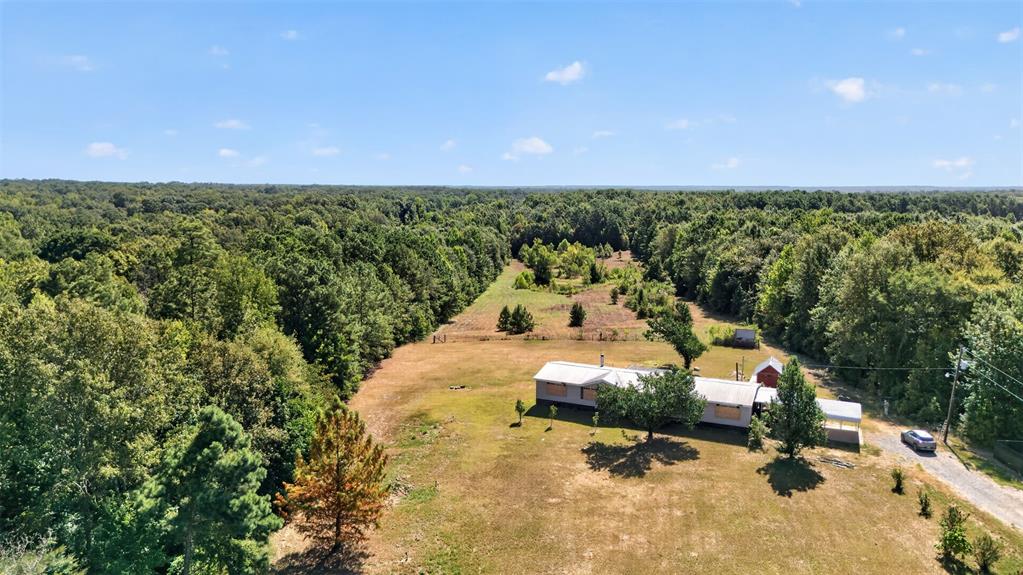13009 4 Forks Road Keithville, LA 71047 - Photo 4 of 15 Gallery Image 4