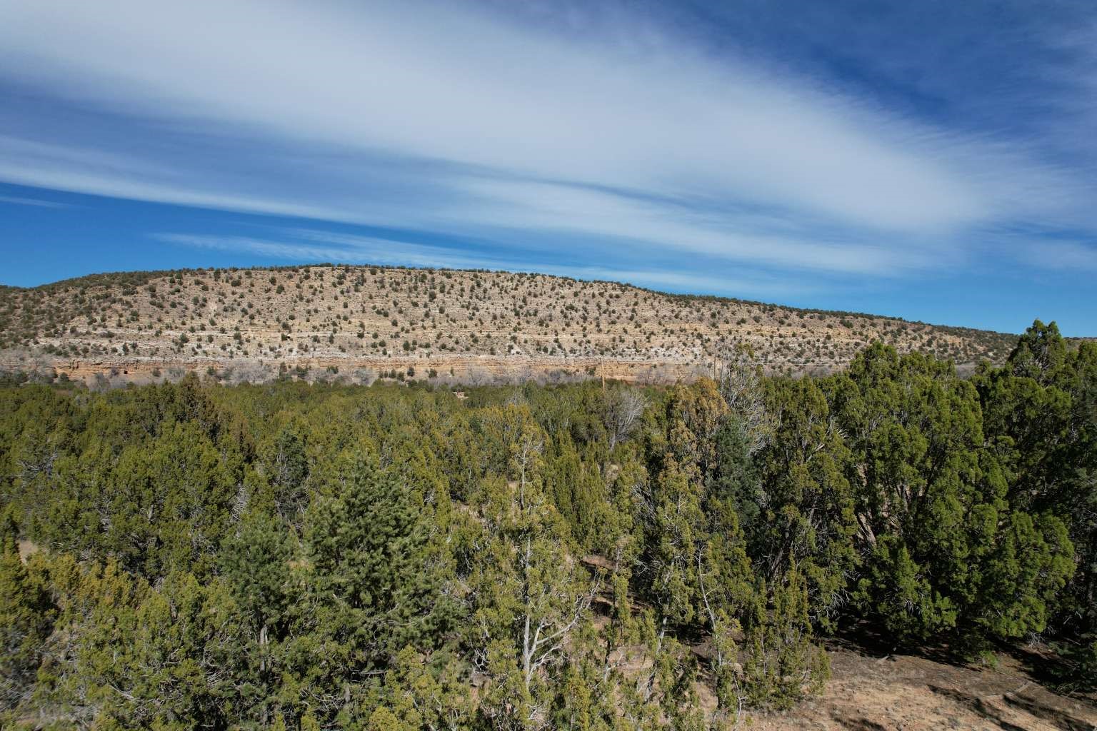 0 County B29c Road Villanueva, NM 87583 - Photo 30 of 33