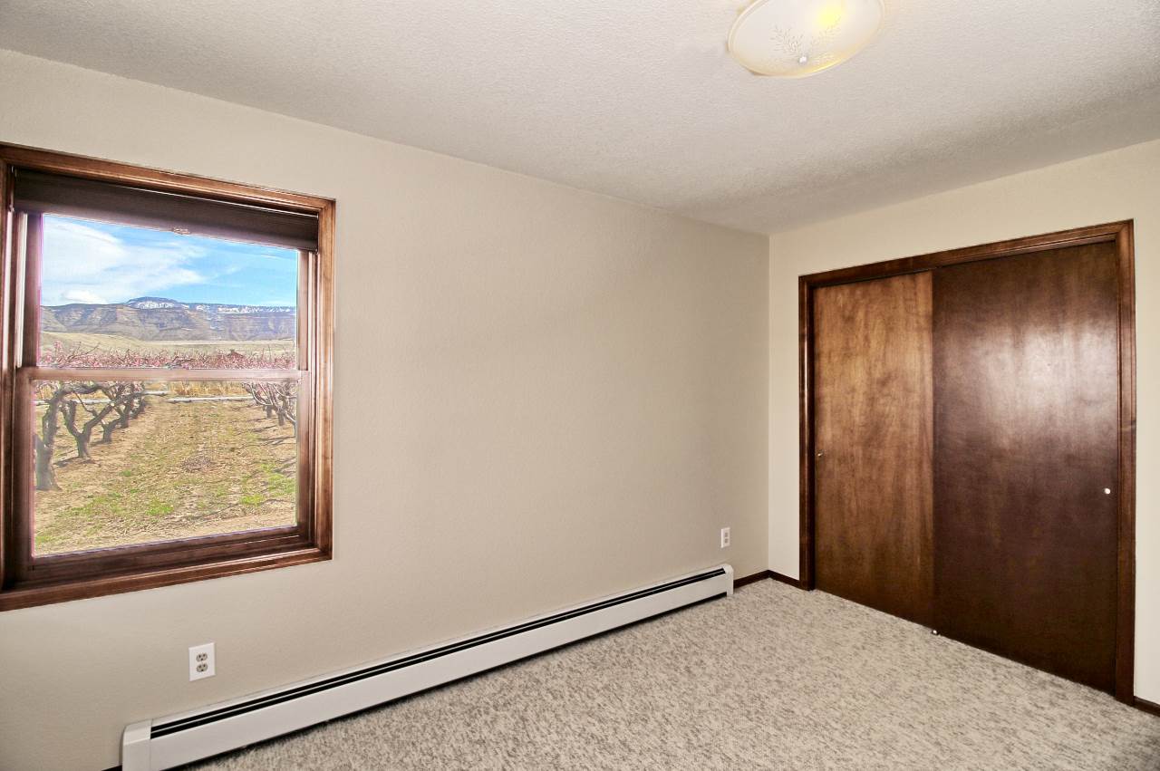 528 36 Road Palisade, CO 81526 - Photo 19 of 42 Gallery Image 19