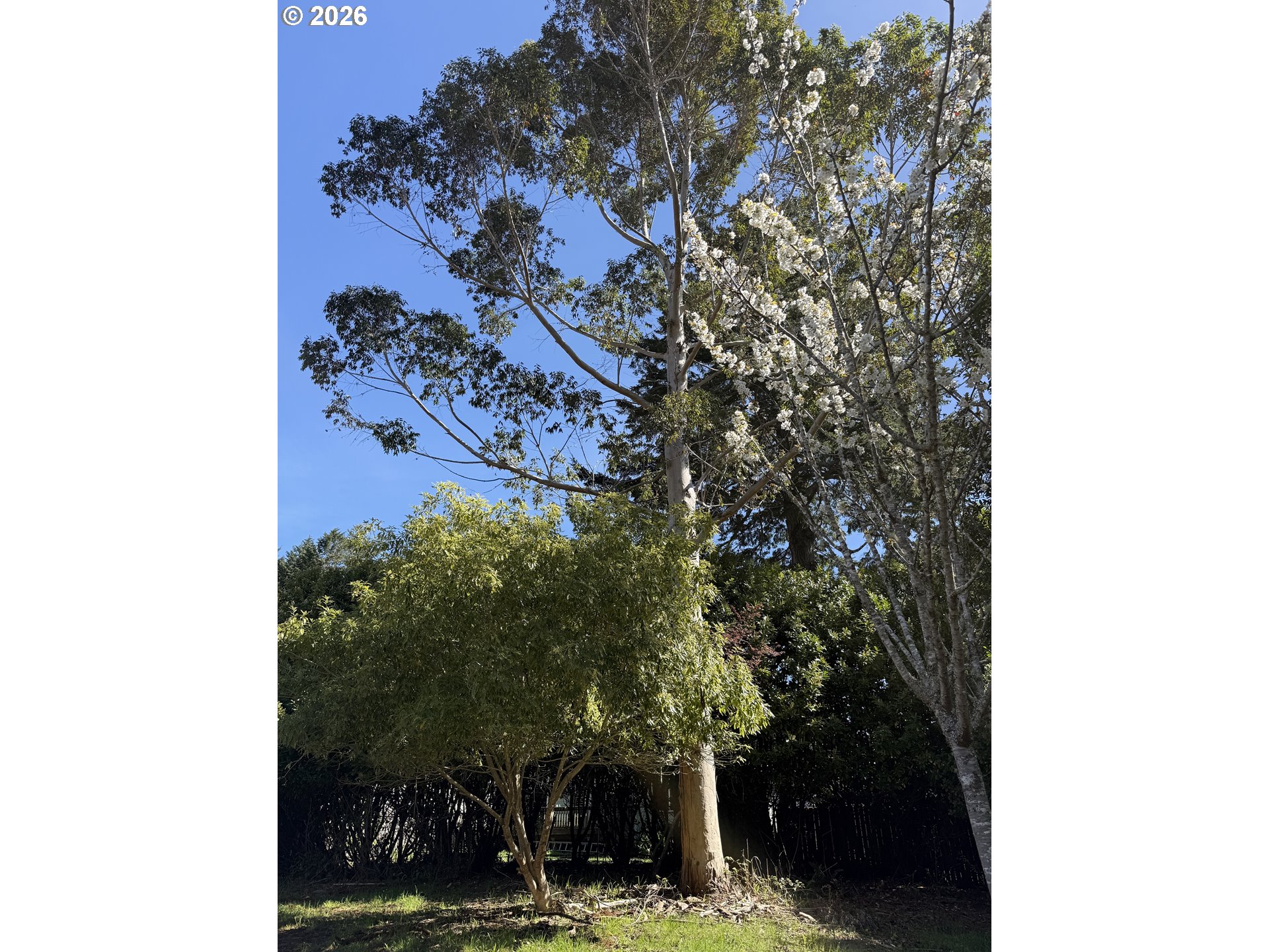 1300 Hampton Road Brookings, OR 97415 - Photo 24 of 33