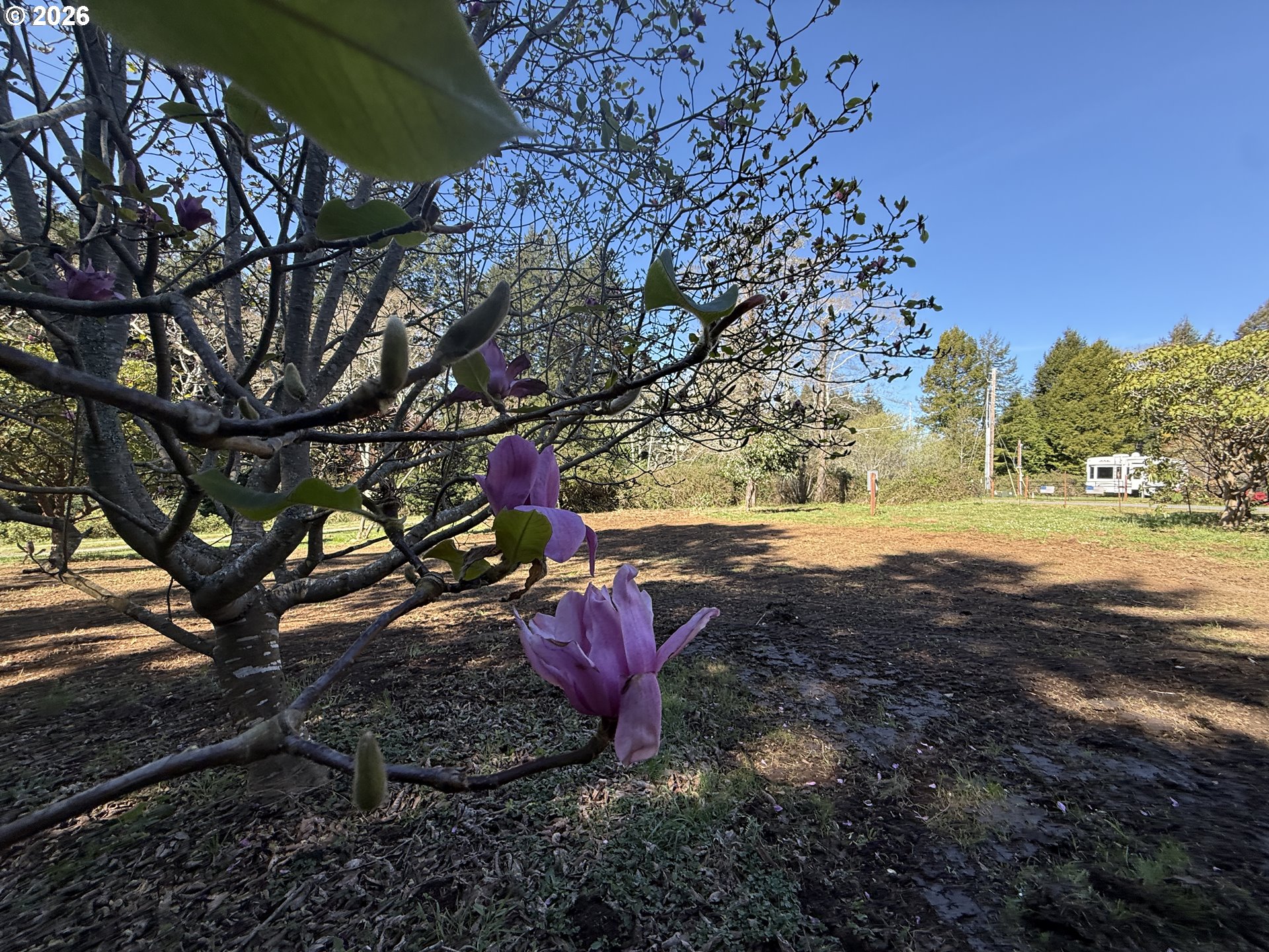 1300 Hampton Road Brookings, OR 97415 - Photo 5 of 33
