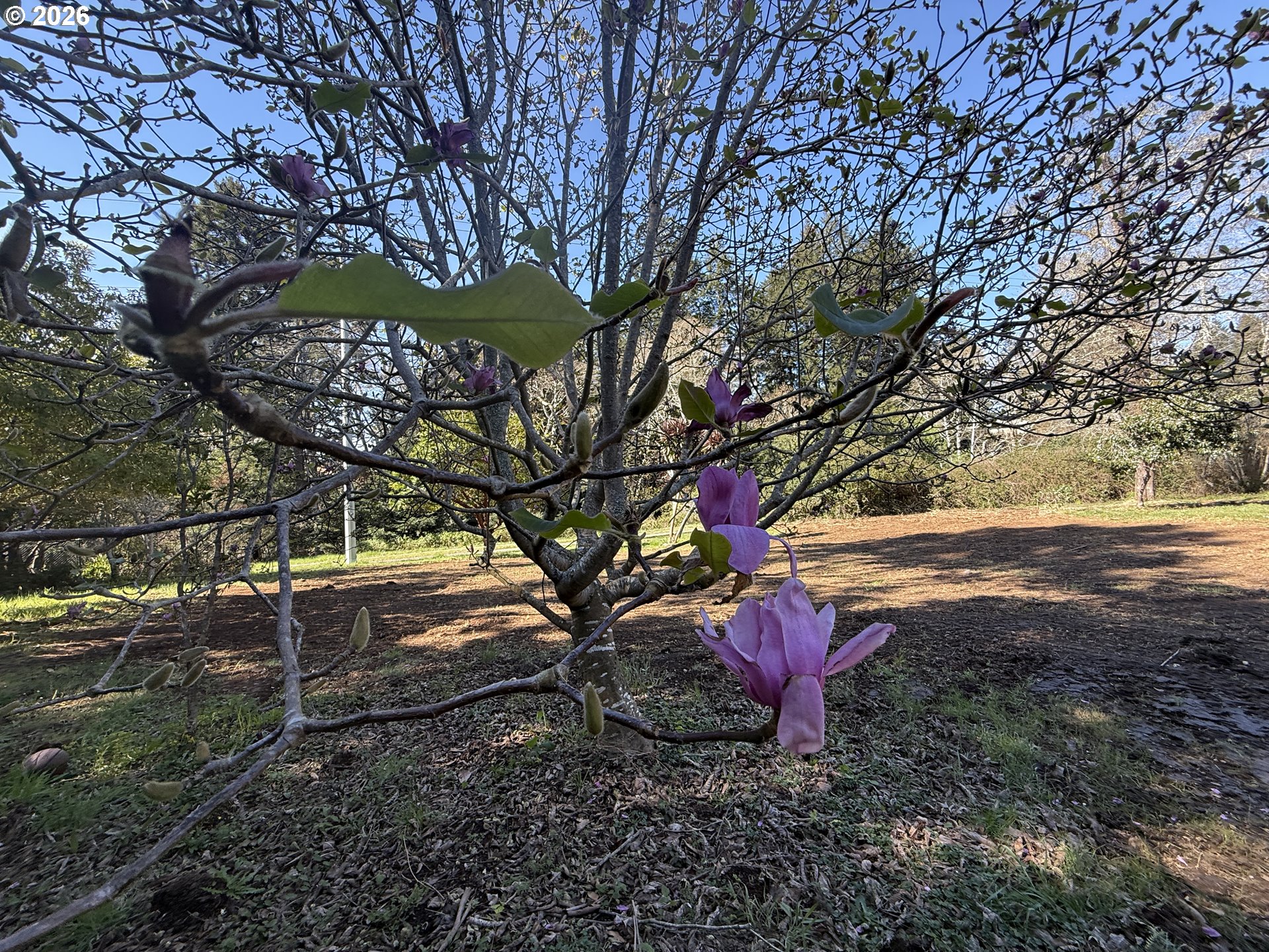 1300 Hampton Road Brookings, OR 97415 - Photo 6 of 33