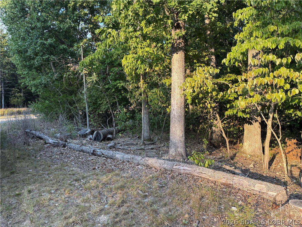 Tbd Point Charles Road Sunrise Beach, MO 65079 - Photo 29 of 65 Gallery Image 29