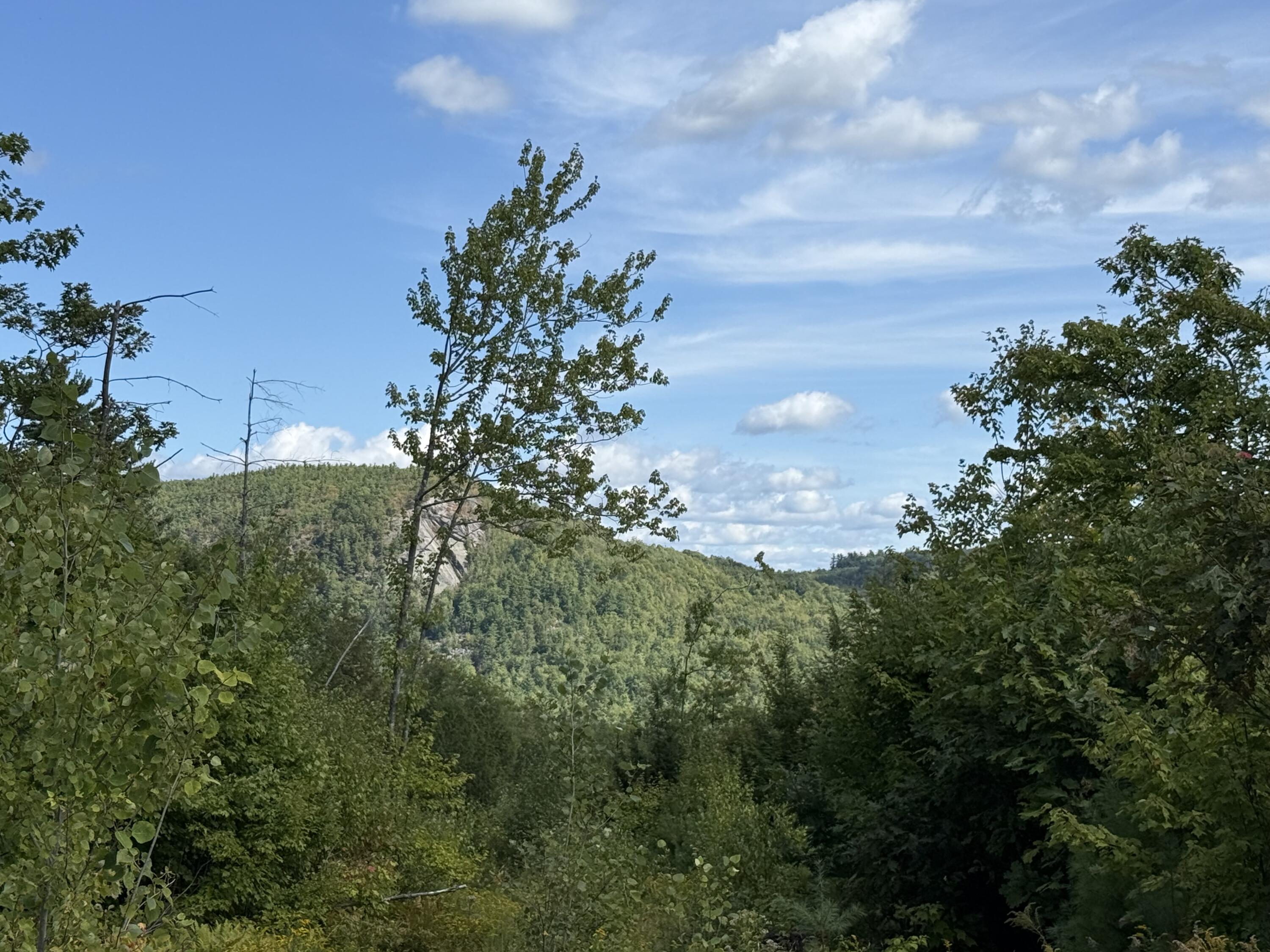 0 North Bridgton Road Bridgton, ME 04009 - Photo 6 of 6 IMG_0155