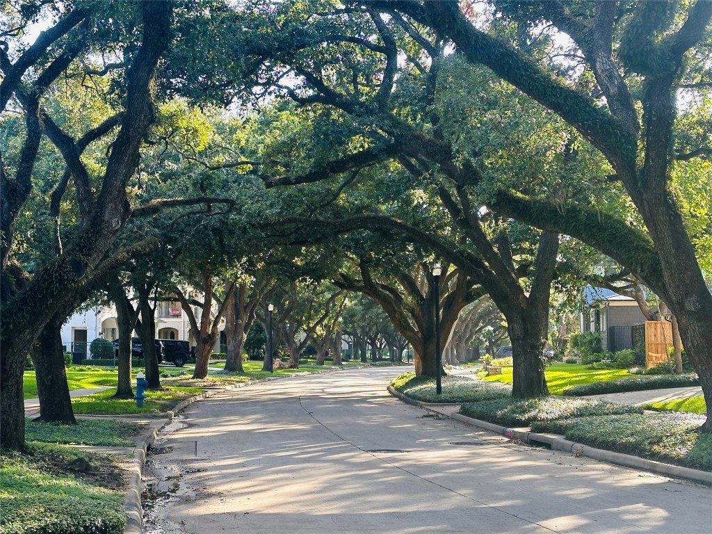 3802 Westerman Street Houston, TX 77005 - Photo 15 of 18 a view of a yard with a tree