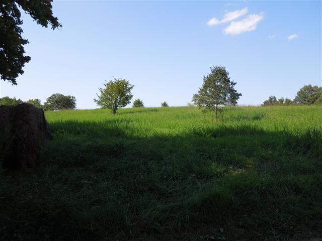 7 Wayne Threatt Road Dover, TN 37058 - Photo 1 of 6 NICE LOT! Long blacktop road frontage