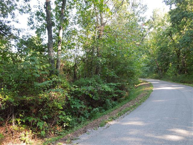 7 Wayne Threatt Road Dover, TN 37058 - Photo 2 of 6 Cleared & level to gently rolling terrain.
