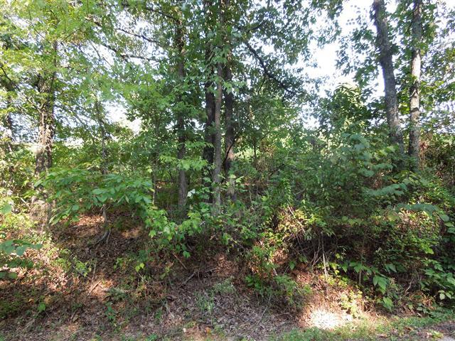 7 Wayne Threatt Road Dover, TN 37058 - Photo 3 of 6 Public water available at street. Restrictions apply.