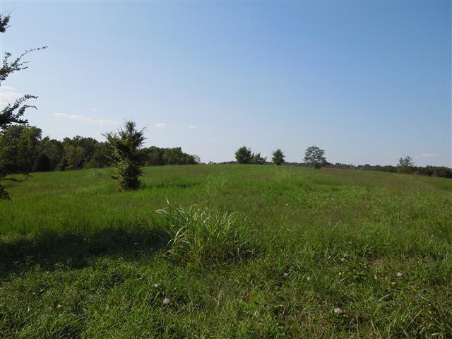 7 Wayne Threatt Road Dover, TN 37058 - Photo 4 of 6 Peaceful setting. Convenient location, just off Hwy 79
