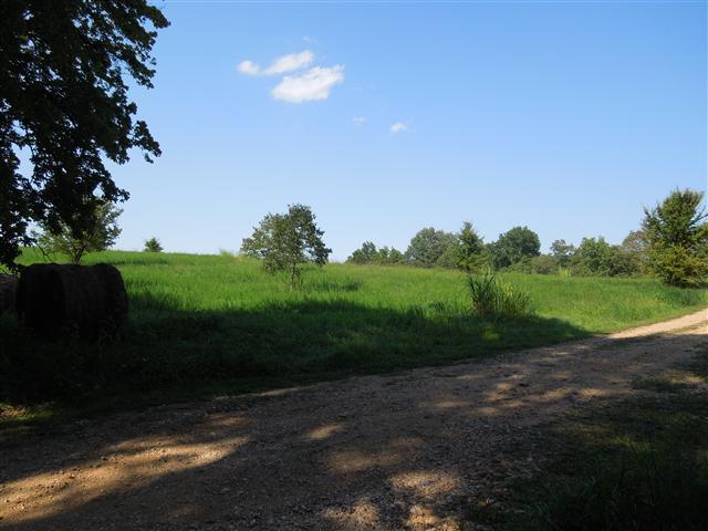 7 Wayne Threatt Road Dover, TN 37058 - Photo 5 of 6 15 Ft. right-of-way along side of lot.