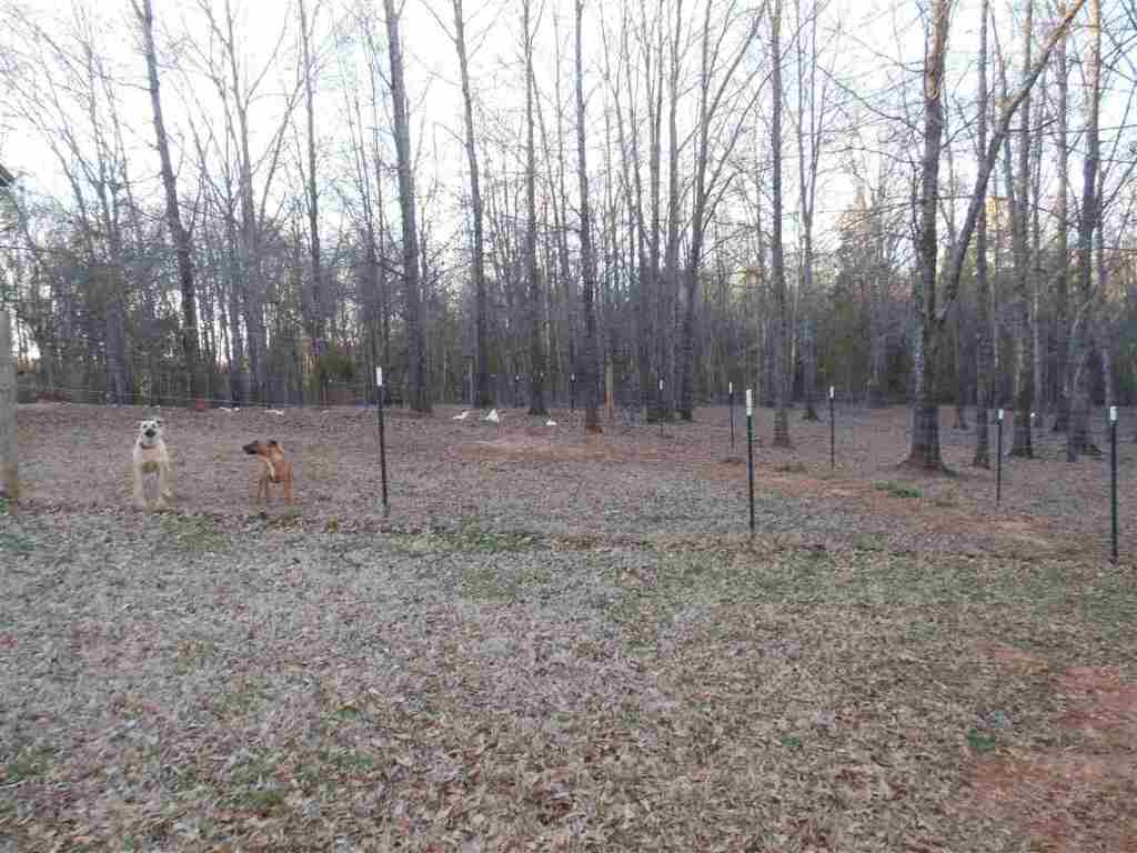 421 Seigler Road Iva, SC 29655 - Photo 4 of 35
