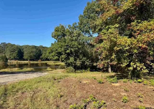 a view of lake with houses