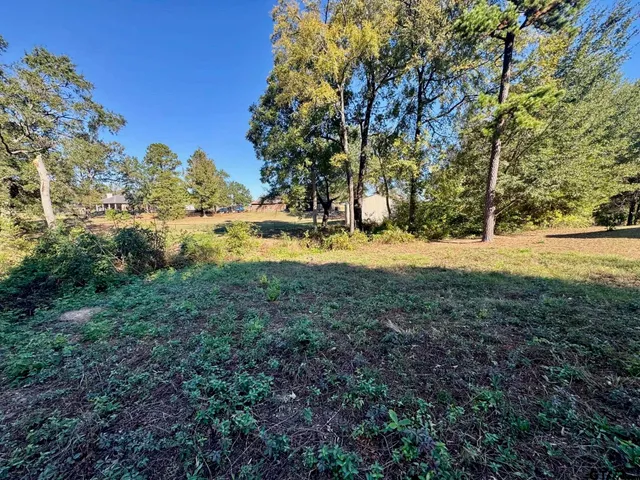 a view of ocean view with large trees